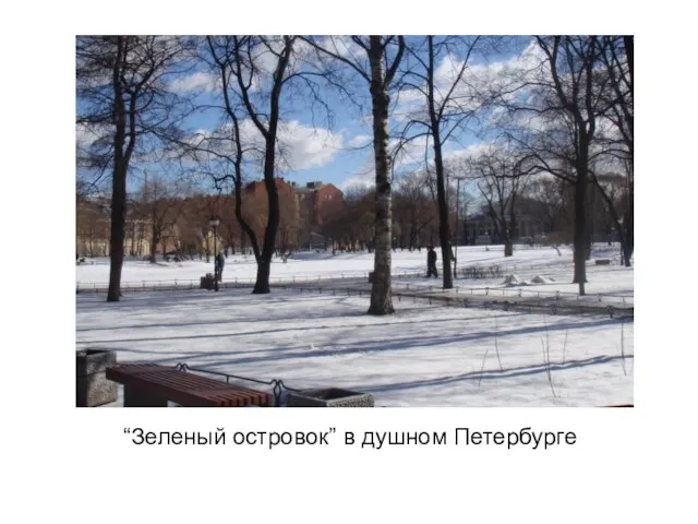“Зеленый островок” в душном Петербурге