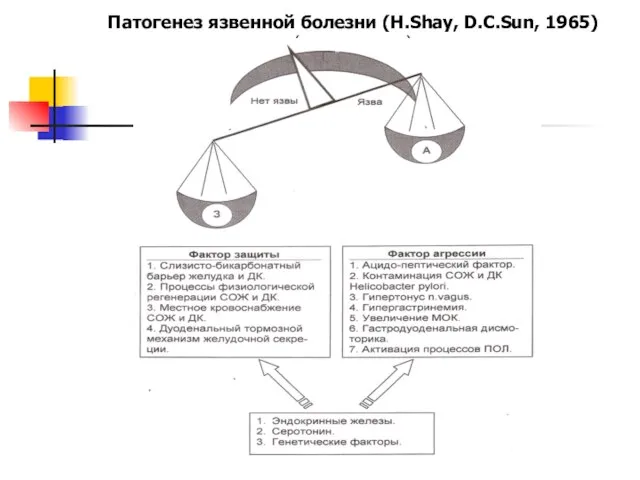 Патогенез язвенной болезни (H.Shay, D.C.Sun, 1965) (с дополнениями)