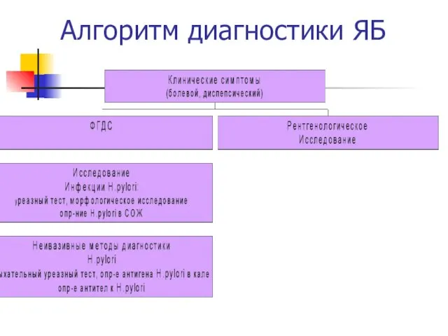 Алгоритм диагностики ЯБ