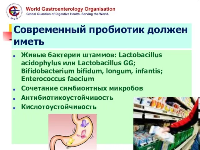 Современный пробиотик должен иметь Живые бактерии штаммов: Lactobacillus acidophylus или Lactobacillus GG;