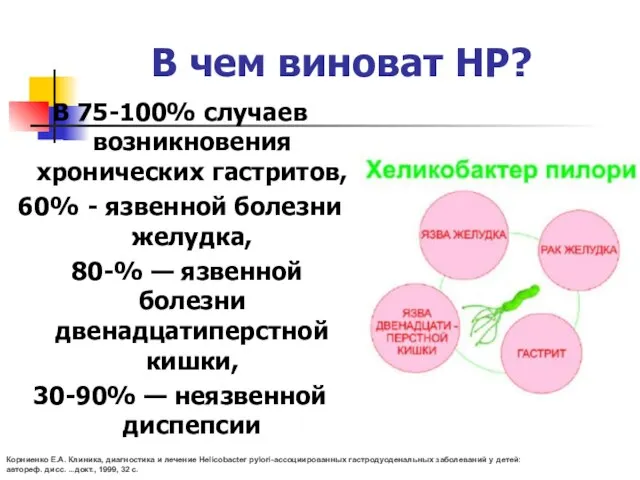 В чем виноват HP? В 75-100% случаев возникновения хронических гастритов, 60% -