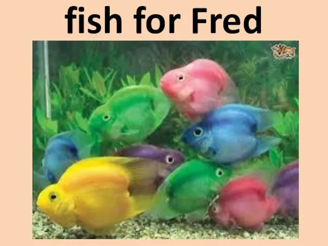 fish for Fred
