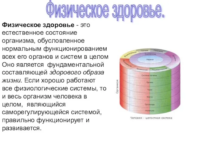 Физическое здоровье. Физическое здоровье - это естественное состояние организма, обусловленное нормальным функционированием