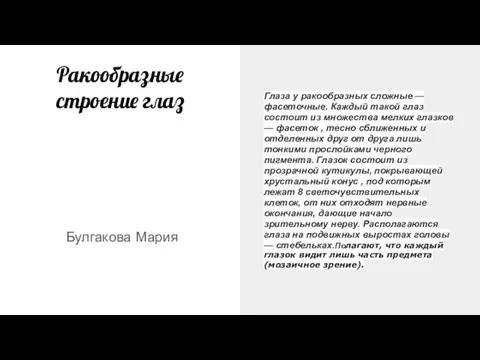 Ракообразные строение глаз Булгакова Мария Глаза у ракообразных сложные — фасеточные. Каждый