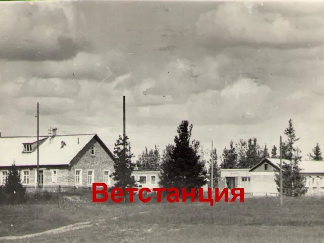 Ветстанция