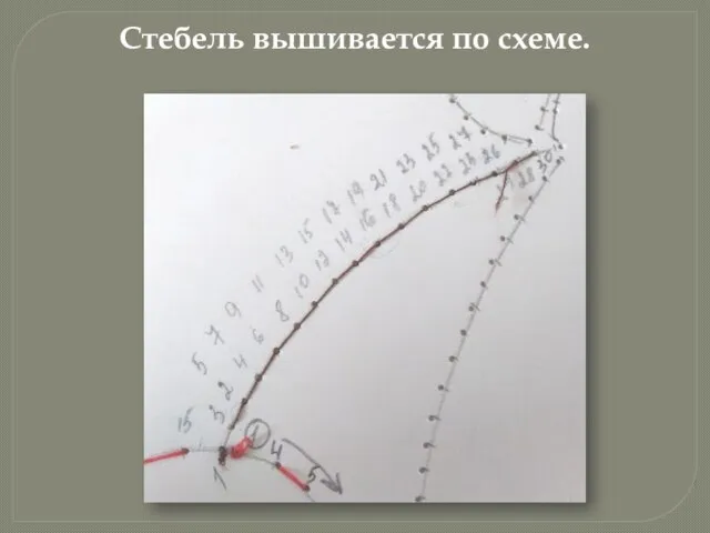 Стебель вышивается по схеме.