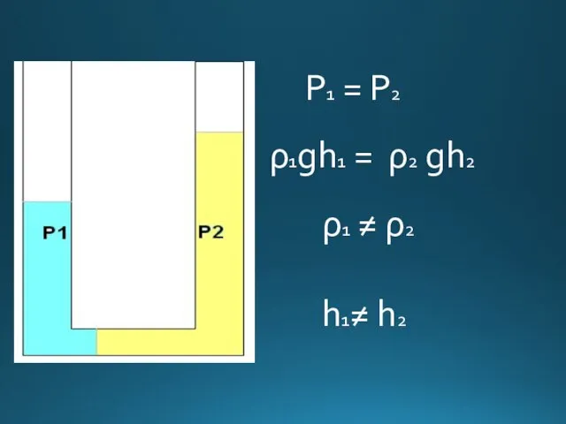 Р1 = Р2 ρ1gh1 = ρ2 gh2 ρ1 ≠ ρ2 h1≠ h2