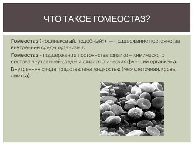 Гомеостаз ( «одинаковый, подобный») — поддержание постоянства внутренней среды организма. Гомеостаз -