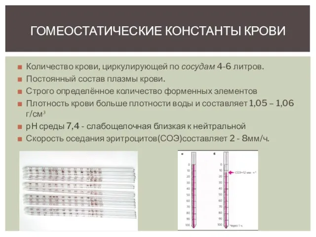 Количество крови, циркулирующей по сосудам 4-6 литров. Постоянный состав плазмы крови. Строго