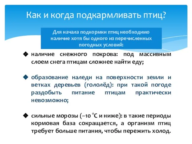 Как и когда подкармливать птиц? наличие снежного покрова: под массивным слоем снега