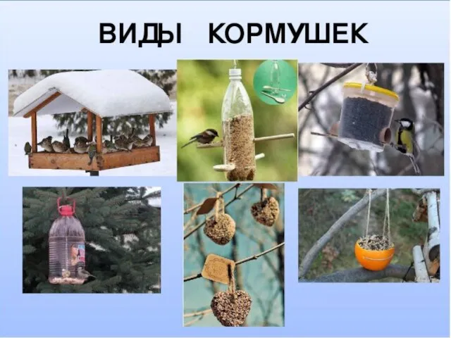 Виды кормушек