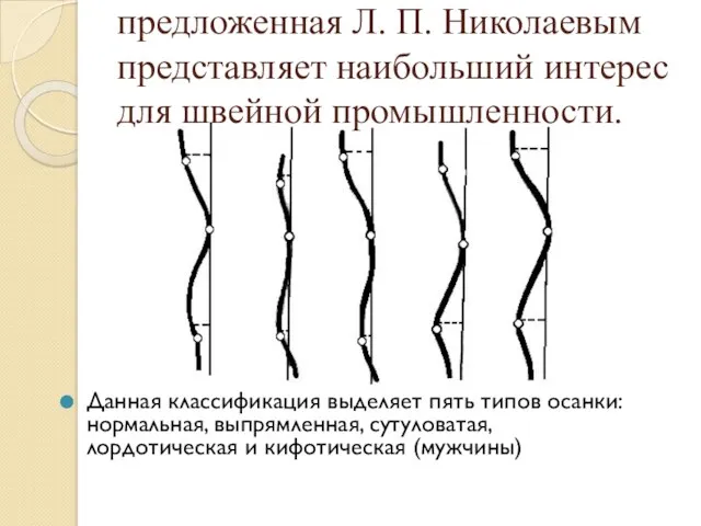 Классификация осанки, предложенная Л. П. Николаевым представляет наибольший интерес для швейной промышленности.