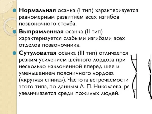 Нормальная осанка (I тип) характеризуется равномерным развитием всех изгибов позвоночного столба. Выпрямленная