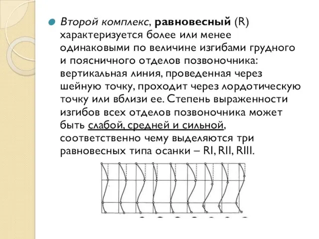 Второй комплекс, равновесный (R) характеризуется более или менее одинаковыми по величине изгибами