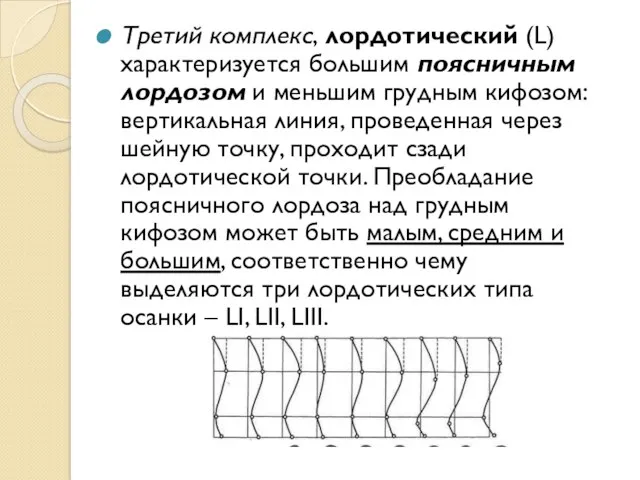 Третий комплекс, лордотический (L) характеризуется большим поясничным лордозом и меньшим грудным кифозом: