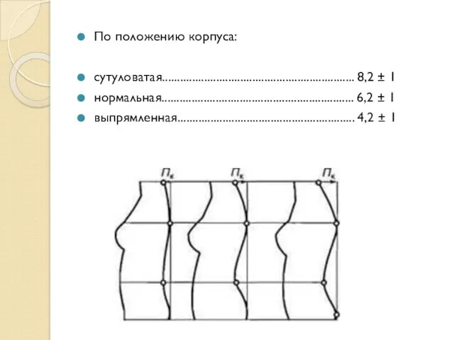 По положению корпуса: сутуловатая................................................................ 8,2 ± 1 нормальная................................................................ 6,2 ± 1 выпрямленная........................................................... 4,2 ± 1