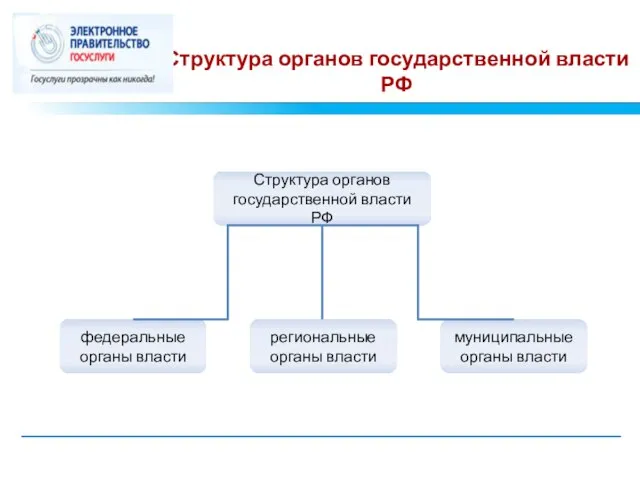 Структура органов государственной власти РФ Структура органов государственной власти РФ федеральные органы