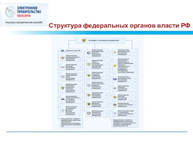 Структура федеральных органов власти РФ