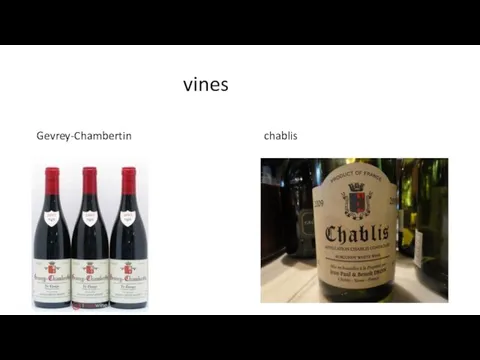 vines Gevrey-Chambertin chablis