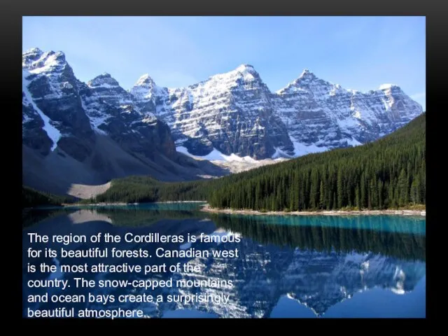 The region of the Cordilleras is famous for its beautiful forests. Canadian