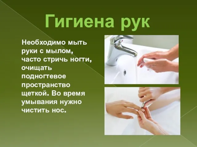 Гигиена рук Необходимо мыть руки с мылом, часто стричь ногти, очищать подногтевое