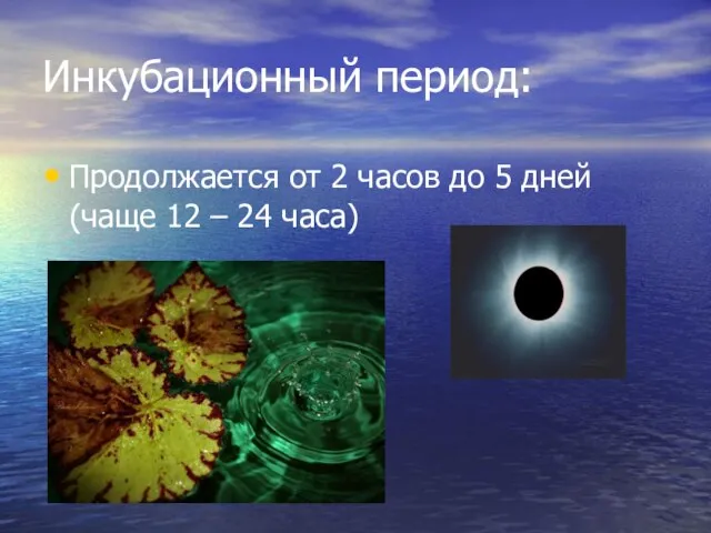 Инкубационный период: Продолжается от 2 часов до 5 дней (чаще 12 – 24 часа)