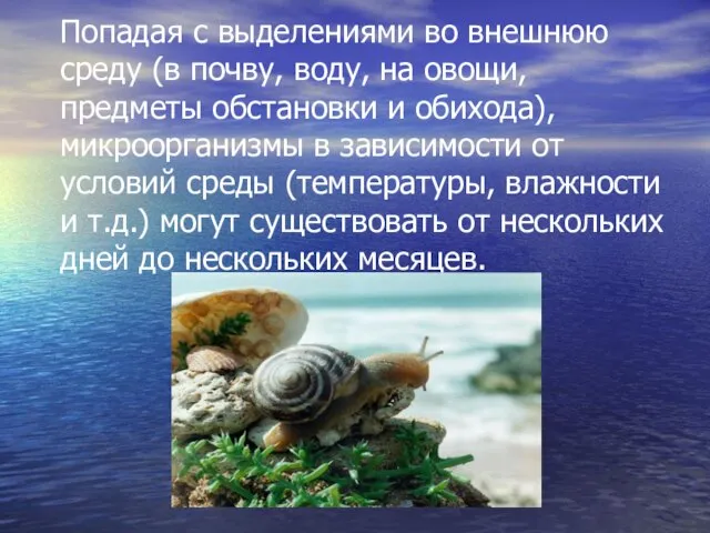 Попадая с выделениями во внешнюю среду (в почву, воду, на овощи, предметы