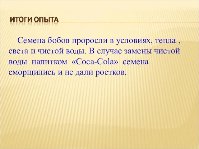 Семена бобов проросли в условиях, тепла , света и чистой воды. В