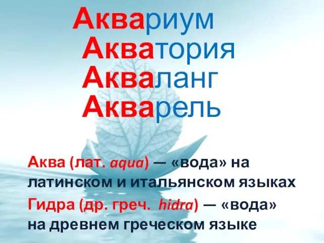 Аквариум Акватория Акваланг Акварель Аква (лат. aqua) — «вода» на латинском и