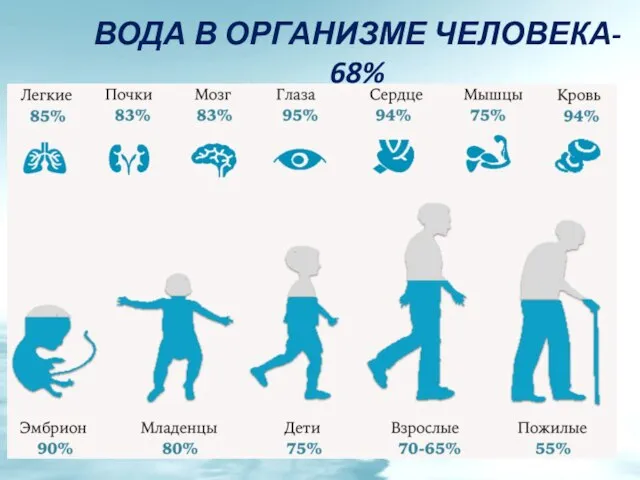 ВОДА В ОРГАНИЗМЕ ЧЕЛОВЕКА- 68%