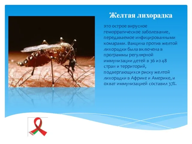 Желтая лихорадка это острое вирусное геморрагическое заболевание, передаваемое инфицированными комарами. Вакцина против