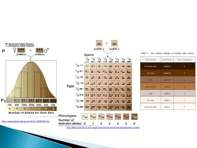 http://preuniversity.grkraj.org/html/9_GENETICS.htm http://ibbio.pbworks.com/w/page/36703335/Topic%2010%3A%20Genetics%20HL