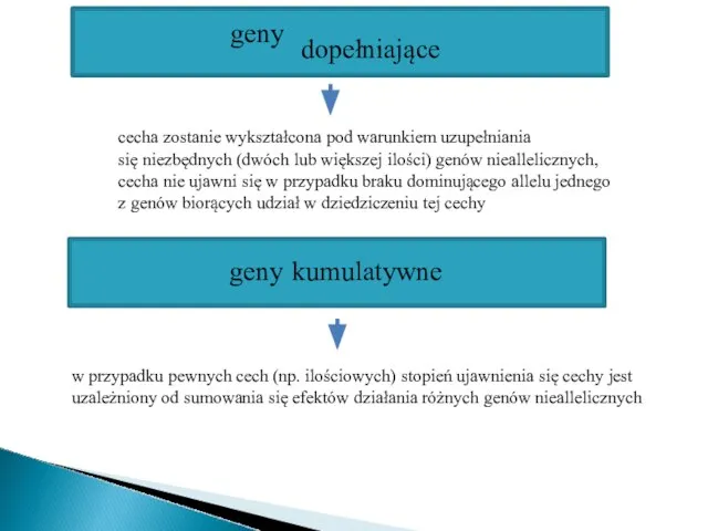 cecha zostanie wykształcona pod warunkiem uzupełniania się niezbędnych (dwóch lub większej ilości)