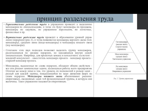 принцип разделения труда Горизонтальное разделение труда в управлении приводит к выделению менеджеров