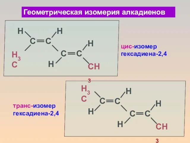 Геометрическая изомерия алкадиенов цис-изомер гексадиена-2,4 транс-изомер гексадиена-2,4