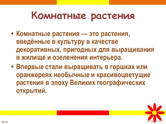 Комнатные растения Комнатные растения — это растения, введённые в культуру в качестве