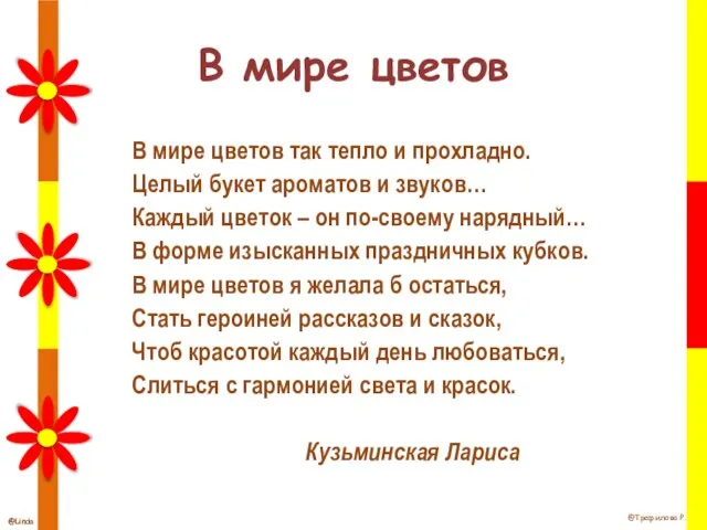 В мире цветов В мире цветов так тепло и прохладно. Целый букет