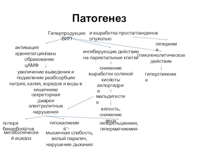 Патогенез Гиперпродукция ВИП активация аденилатциклазы образование цАМФ увеличение выведения и подавление реабсорбции