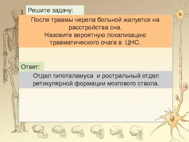 После травмы черепа больной жалуется на расстройства сна. Назовите вероятную локализацию травматического