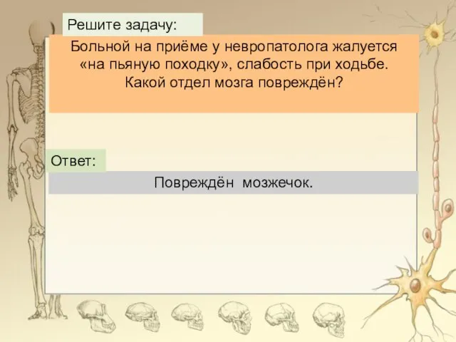 Больной на приёме у невропатолога жалуется «на пьяную походку», слабость при ходьбе.