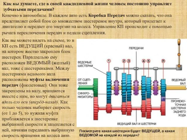 Как вы думаете, где в своей каждодневной жизни человек постоянно управляет зубчатыми