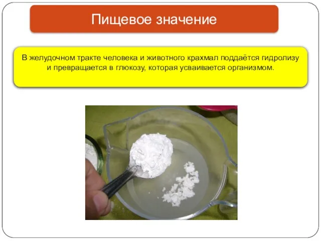 Пищевое значение В желудочном тракте человека и животного крахмал поддаётся гидролизу и