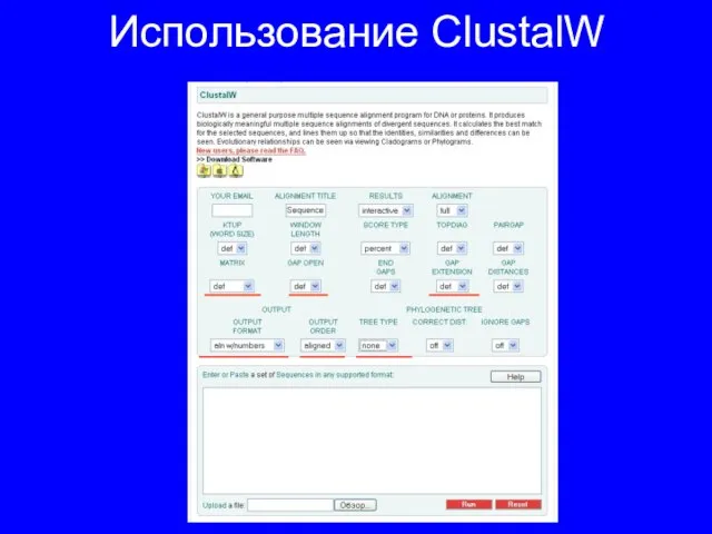 Использование ClustalW