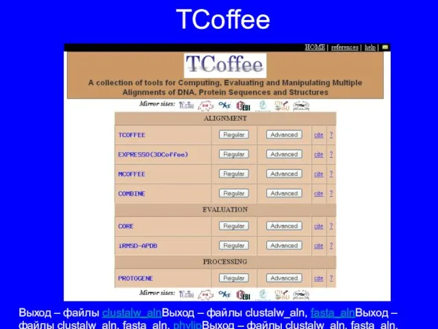 TCoffee Выход – файлы clustalw_alnВыход – файлы clustalw_aln, fasta_alnВыход – файлы clustalw_aln,