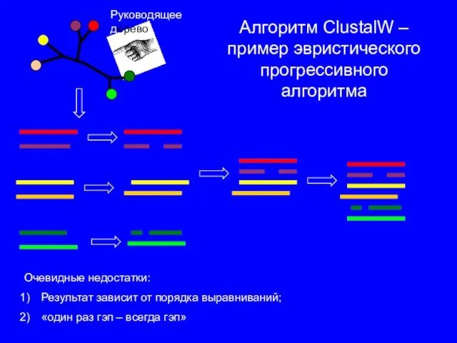 Алгоритм ClustalW – пример эвристического прогрессивного алгоритма Руководящее дерево Очевидные недостатки: Результат