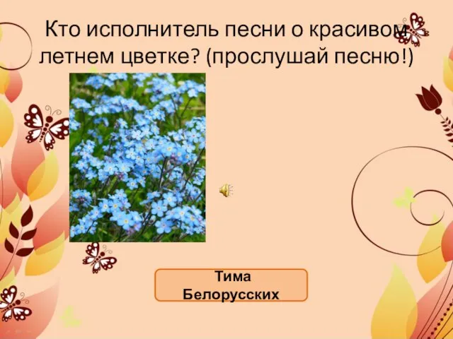 Кто исполнитель песни о красивом летнем цветке? (прослушай песню!) Тима Белорусских