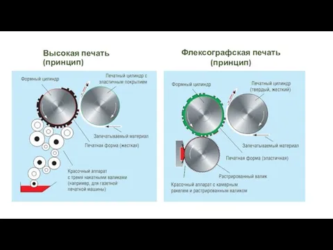 Высокая печать (принцип) Флексографская печать (принцип)