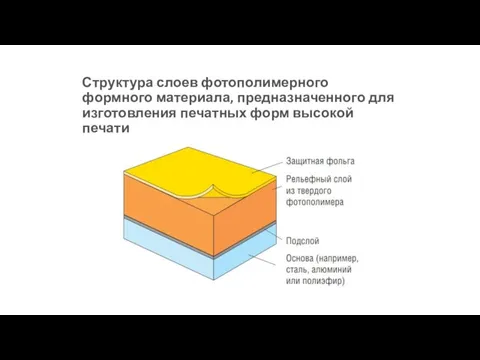 Структура слоев фотополимерного формного материала, предназначенного для изготовления печатных форм высокой печати