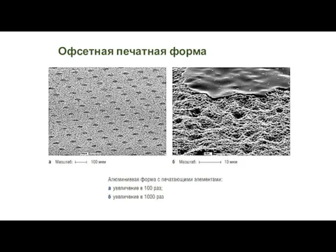 Офсетная печатная форма