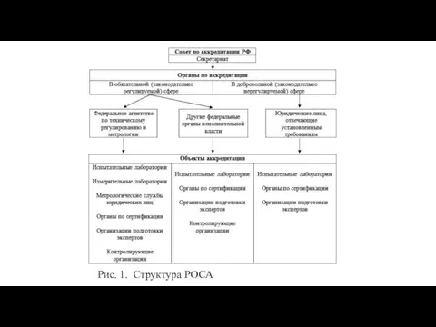 Рис. 1. Структура РОСА
